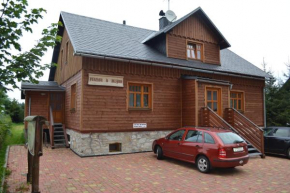 Отель Penzion U mlýna, Рейвиз